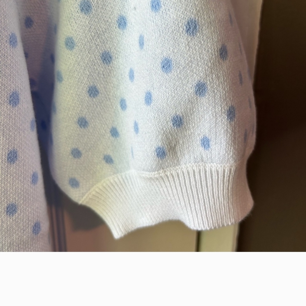 LOFT NWT Pindot Scalloped Sweater Tee. Polka Dots. Light Blue & White. Size S. - Picture 3 of 7